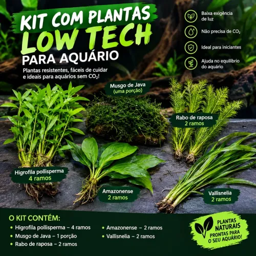 Plantas de aquário