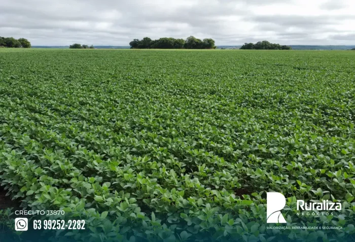 50 ALQUEIRES | 218 HA EM LAVOURA | RELEVO 100% PLANO