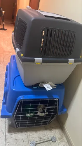 Caixa de transporte pet número 05