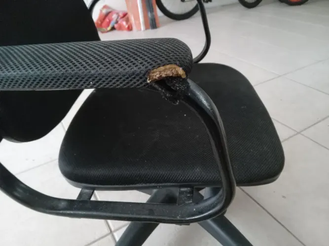 Cadeira de escritório