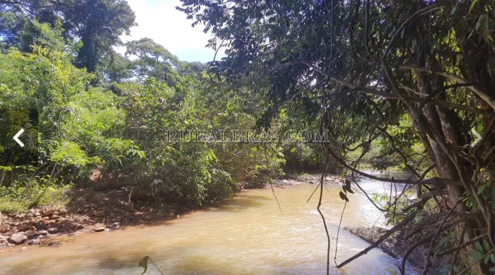 Fazenda à venda em Formosa-GO