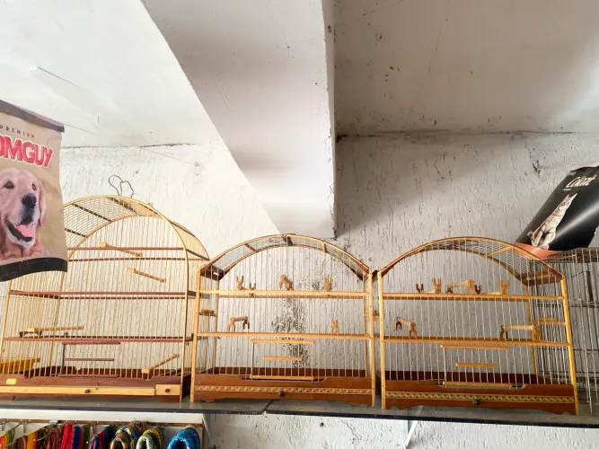 Gaiolas