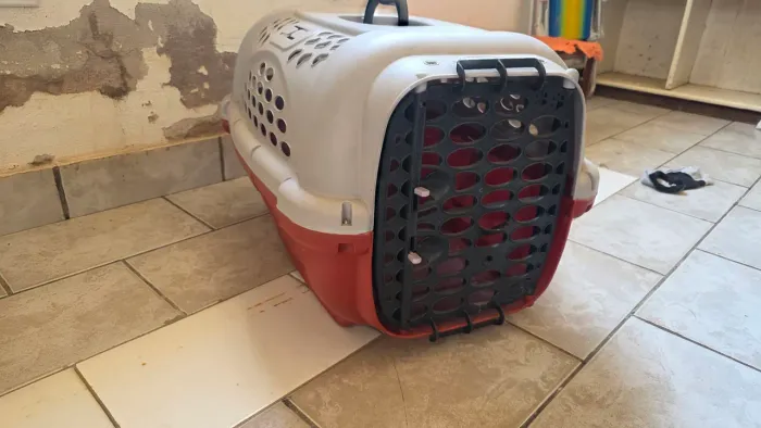 Vende-se caixa de transporte animal