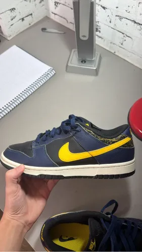 Nike Dunk low vintage ?Michigan ?