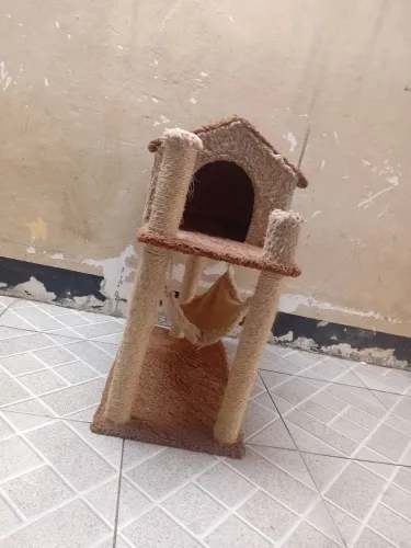 Casinha de gato