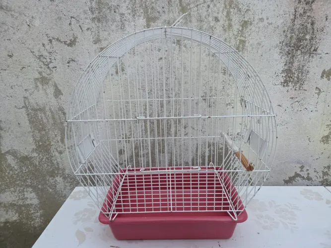 Gaiola 
