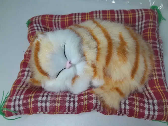 Gato pelúcia
