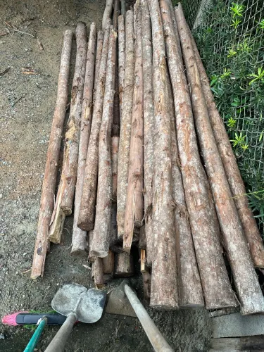 Escora de laje madeira