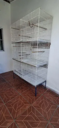 Viveiro Criadouro Pássaros