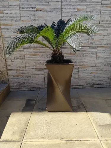 Sagu com vaso espiral de cimento aceito cartão de crédito