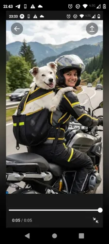 Mochila de transporte pet 