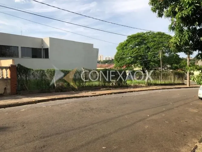 terreno - Nova Campinas - Campinas