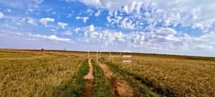 Fazenda à venda com 155 alqueires - dupla aptidão - beira de rodovia - Nossa Senhora das G
