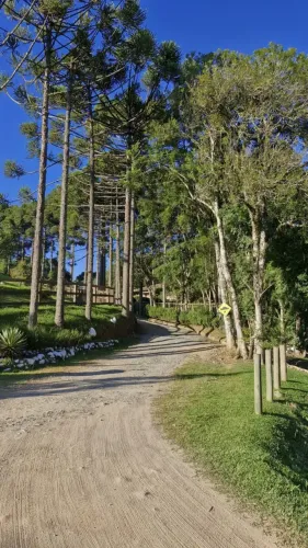 Imóvel para venda tem 7476 metros quadrados em Area Rural Areia Branca dos Assis - Mandiri