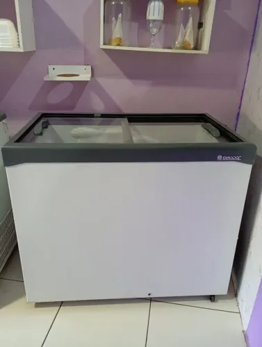 FREEZER GELOPAR 307LITROS