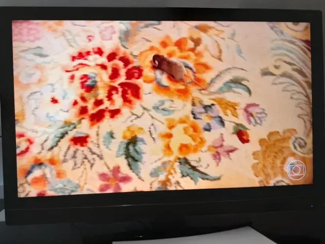 TV 42 LCD AOC