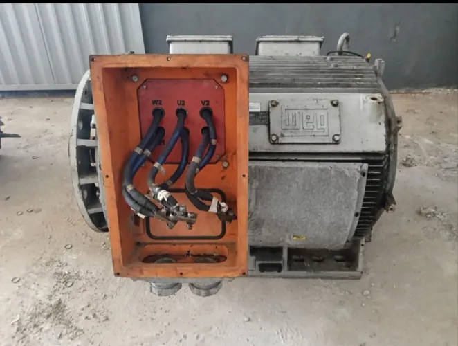 Motores elétricos de grande porte