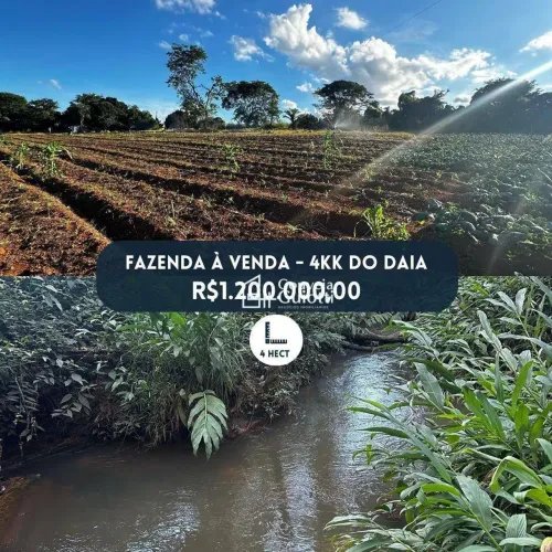 Fazenda á Venda - Gameleira de Goiás