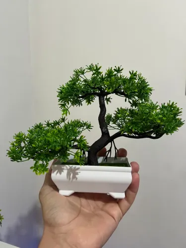 Bonsai Artificial Decorativo | Entrego! | NOVO