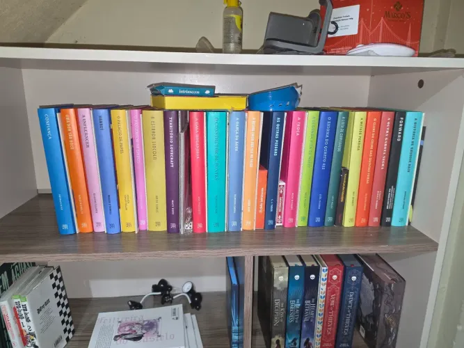 Coleção Clube Intrínsecos livros + itens especiais