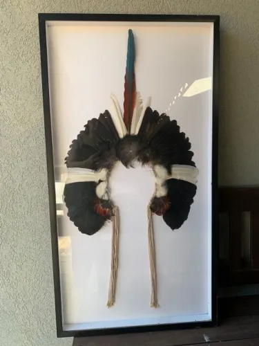 Cocar indígena emoldurado