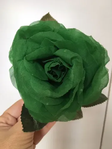 Linda flor com múltiplas utilidades! 