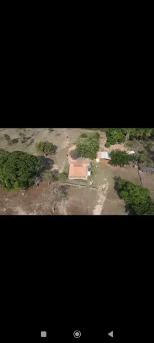 Fazenda 276 alq. Em Colinas do TO. 12 milhões.