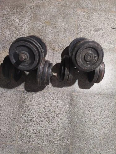 Dumbbell academia treino 