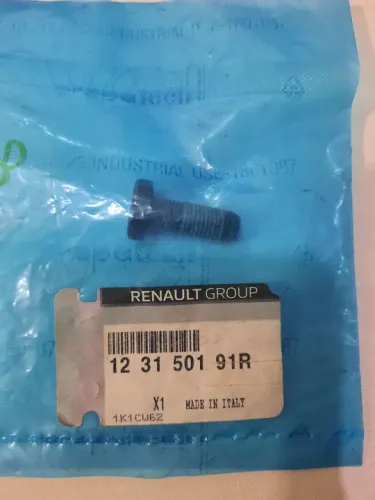 Parafuso Volante Motor Renault Logan, Kwid