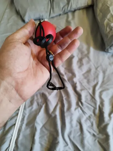 Pokeball Plus 
