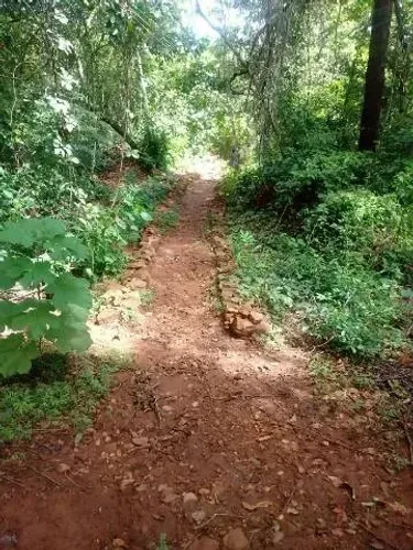 CÓD 546 Pesqueiro à venda Porteira Fechada Rochedo/MS