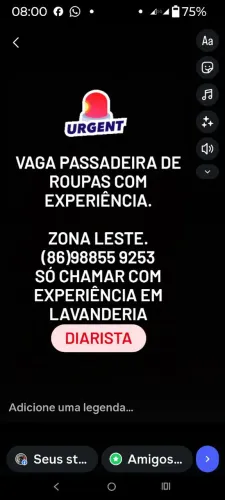 Passadeira de roupas com experiência