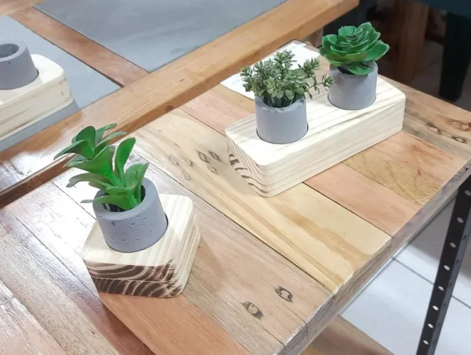 Vasinho de Cimento para Suculentas Cactos Plantas