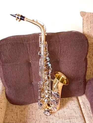 Vende ou troco sax alto Selmer as 300 usa por outro sax alto. 
