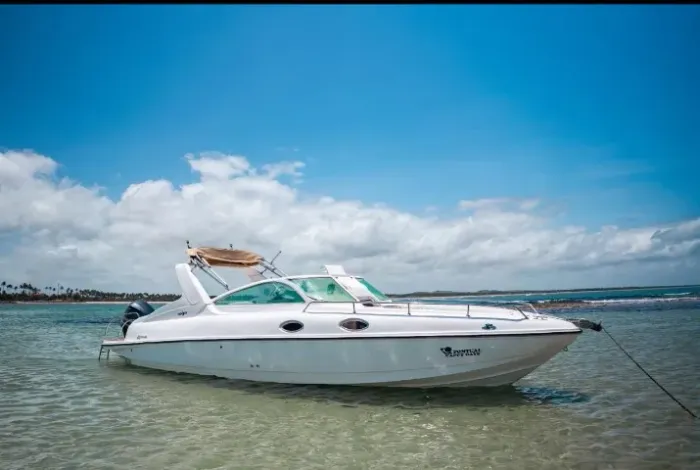 LANCHA VISION 320 MOTOR 300HP YAMAHA TODA REVISADA