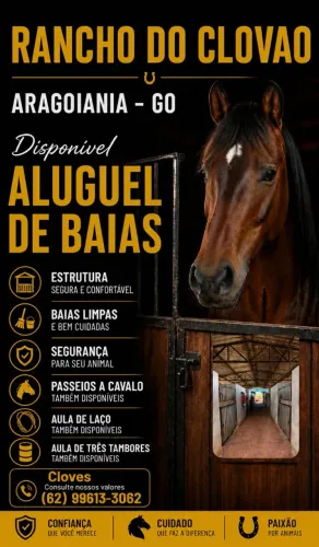 Aluguel de baias