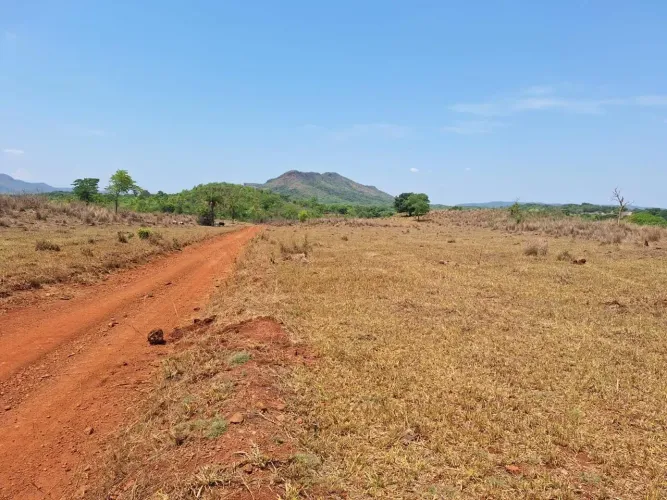 FAZENDA À VENDA  CRIXÁS/GO Próxima a Mozarlândia/GO  - 242 alqueires