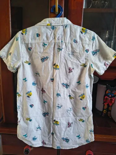 Camisa Renner 
