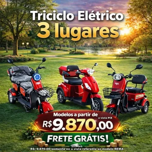 Triciclo elétrico 3 lugares ou 1 lugar 