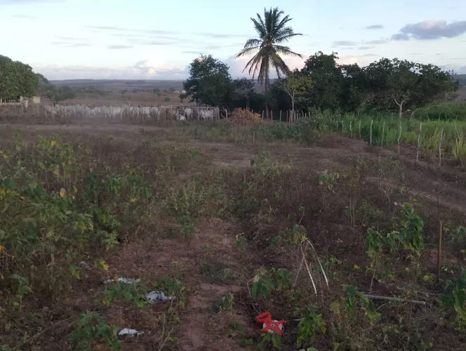 Vendo Terreno no bairro Cidade nova em Montanhas-RN