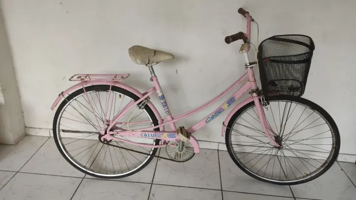 bicicleta antiga 