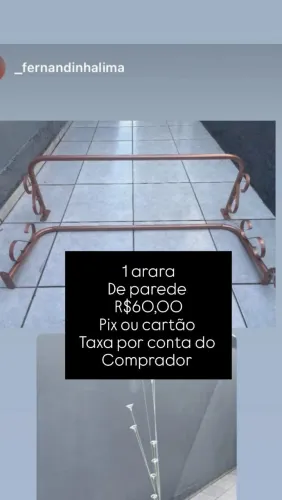 Arara parede