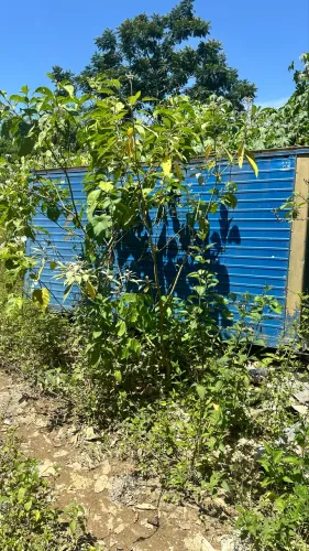 Vende-se Baú de caminhão 3 x 4 em ótimo estado de conservação pra desocupa espaço.