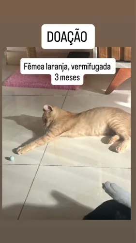 Doação 