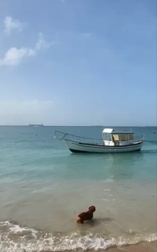 Barco todo em fibra, BTD 22. Ano 2008