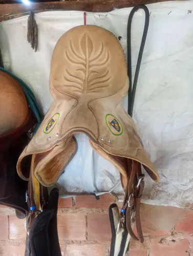 Vendo cela