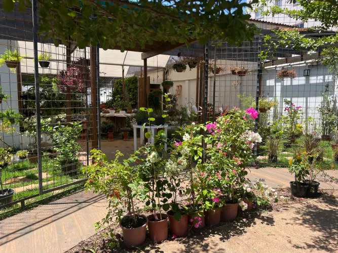 Vende-se um viveiro de plantas