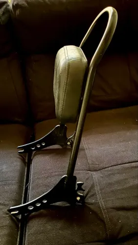 Sissy bar Wings Custom para Forty Eight Peça Premium