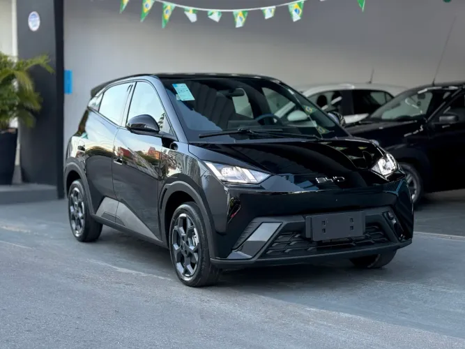 BYD Dolphin Mini (Elétrico) 2027