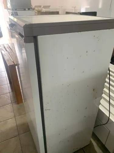 Freezer Vertical Funcionando perfeitamente 